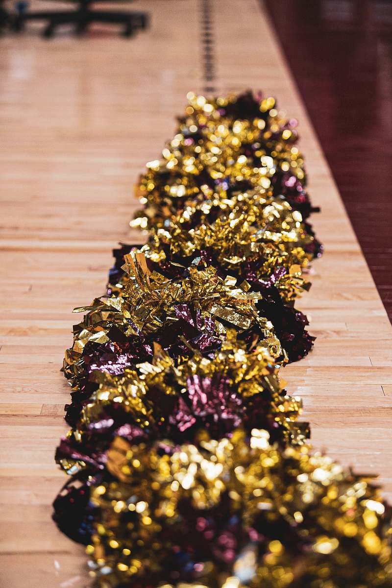 ornament  plant